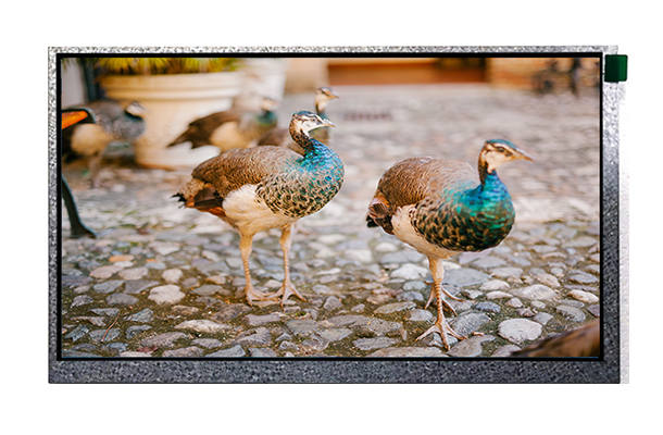 工業(yè)醫(yī)療液晶屏 工業(yè)醫(yī)療液晶屏