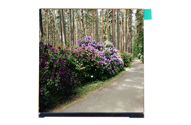 方形屏真的更適合我們嗎？4英寸480×480方形屏的優(yōu)勢(shì)與應(yīng)用