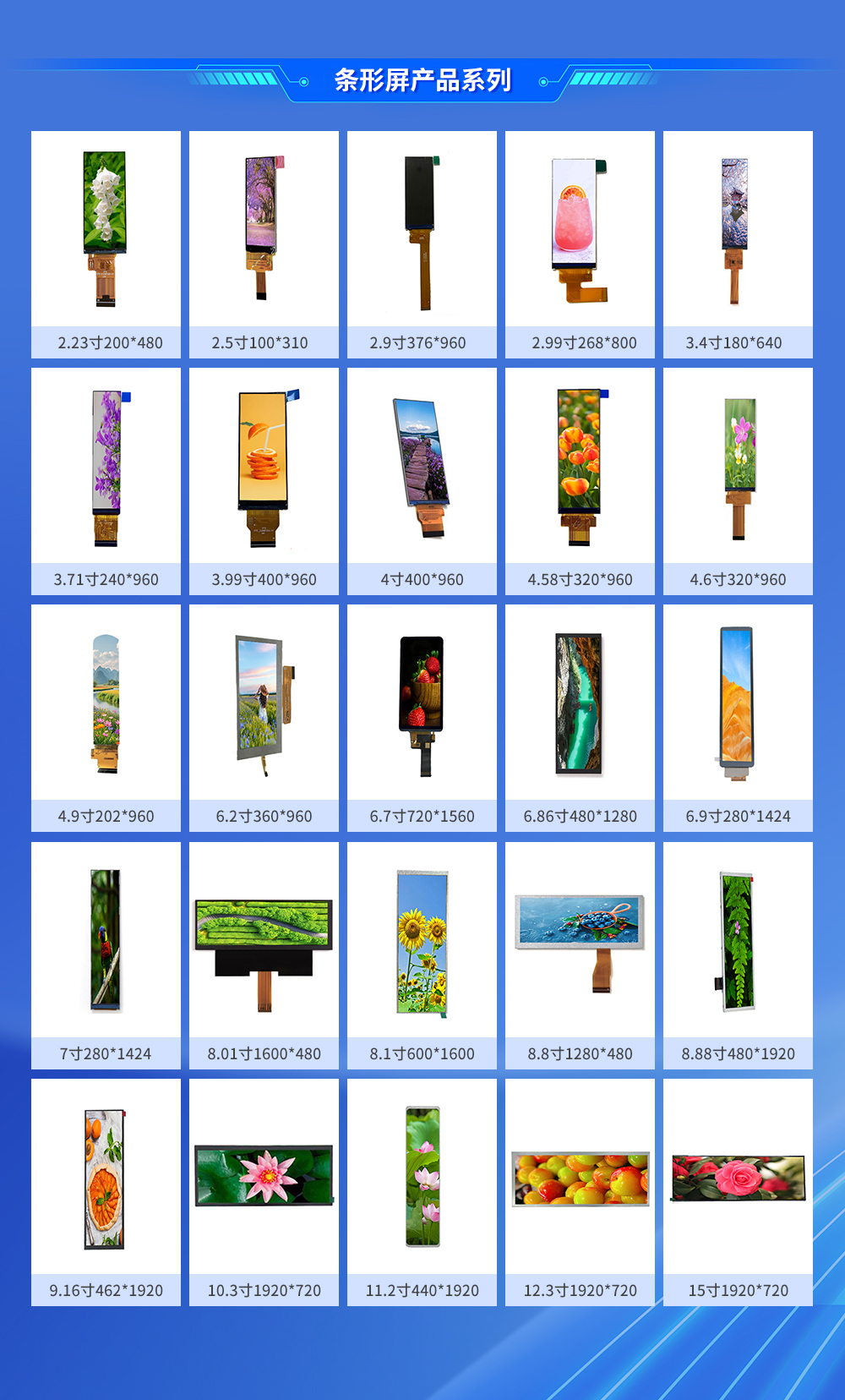 0000公司簡(jiǎn)介_06 0000公司簡(jiǎn)介_06