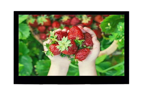 4.3寸800*480 LCD顯示屏：超高分辨率如何提升用戶體驗(yàn)？