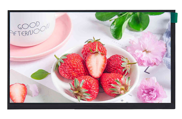 探索未來顯示：10.1寸1280*800觸摸屏的多功能應用與優(yōu)勢