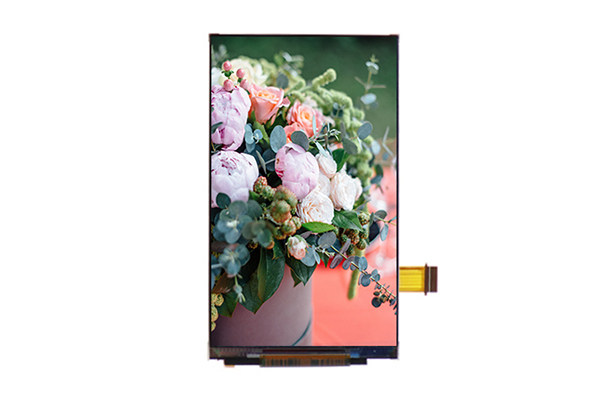 4.3寸 480×800 LCD液晶屏：讓小屏幕也能大顯身手